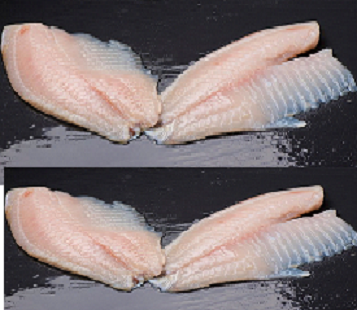 Tilapia Fresca