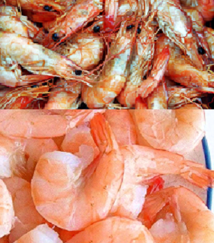 Camarones Cáscara