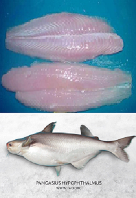 Filete de Basa